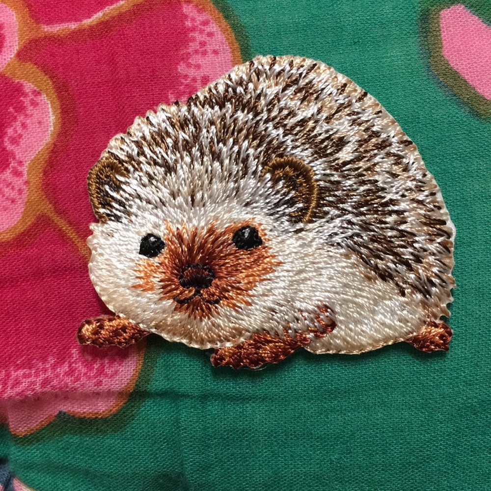 Hedgehog pin 🦔💕